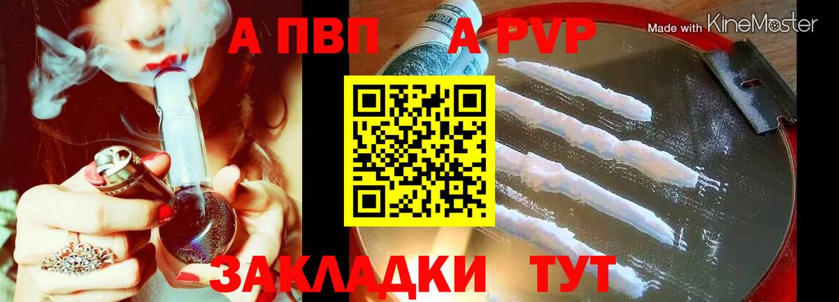 A PVP СК Обь