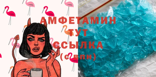 стафф Курчалой