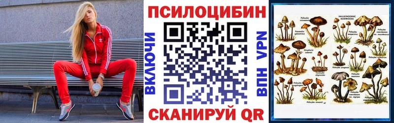 mega зеркало  Обь  Галлюциногенные грибы прущие грибы 